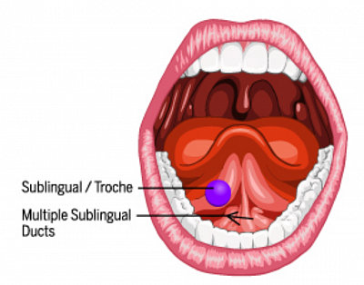 Sublingual spray work Diagram